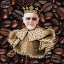 www.kingharvscoffee.com
